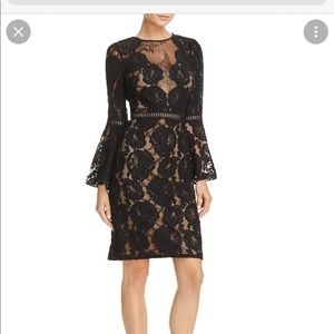 Beautiful lace lined Tadashi Shoji dress with bell sleeves.   Size 16.